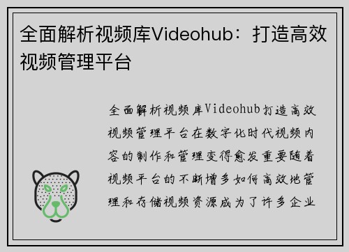 全面解析视频库Videohub：打造高效视频管理平台